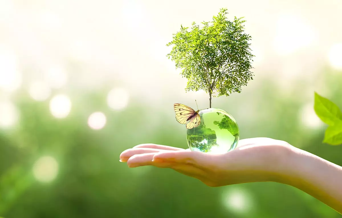 Energy Efficiency